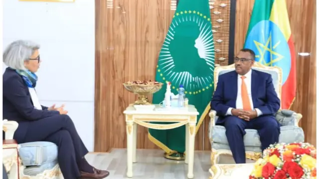 Itaanaan MM Damaqaa Makonnii fi Bakka Buutuu addaa EU Aneet Wanar