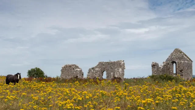 Pulau Derrynaflan dikelilingi oleh rawa-rawa Lurgoe. 
