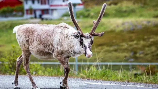 दुनिया का अंतिम छोर