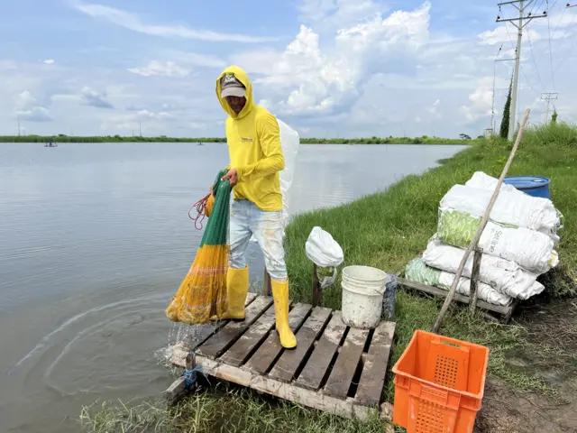 Camaronero en una granja en Ecuador
