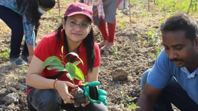 குறுங்காடுகள்
