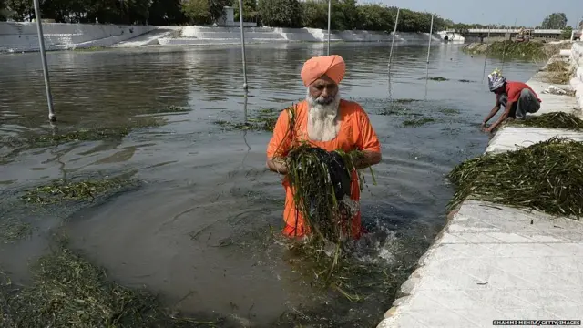 ਬਲਬੀਰ ਸਿੰਘ ਸੀਚੇਵਾਲ