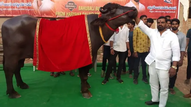 నందకిషోర్ యాదవ్ బాహుబలి