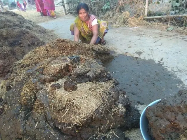 गोवऱ्यांचा वापर करणारी महिला
