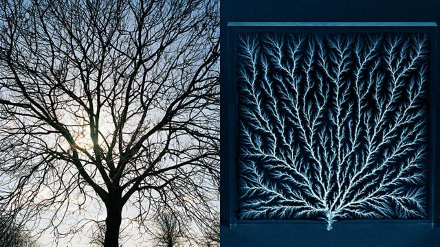 À esquerda, a silhueta de uma árvore. À direita, as figuras de Lichtenberg