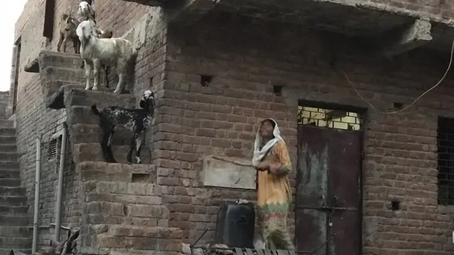 बिलक़िस नगर