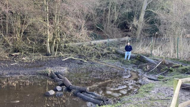 Jimmy's Farm: Tree falls on to capybara enclosure - BBC News