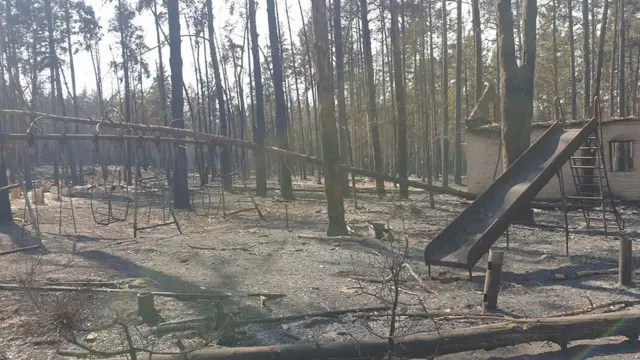 Качелі у Смарагдовому