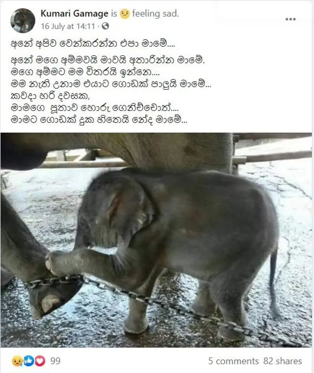 අලි ජාවාරම සම්බන්ධයෙන් ෆේස්බුක් හි පළ වූ අදහසක්