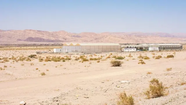 Ürdün Sahra Orman Projesi