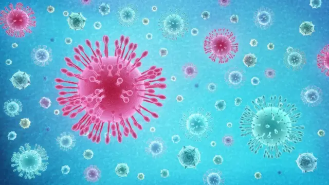 கொரோனா வைரஸ்