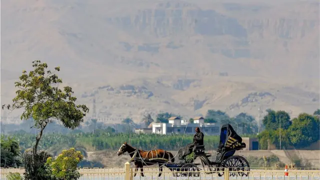 A man with a horse drawn carriage. In the background there is vast arid land and some trees. It looks hot.