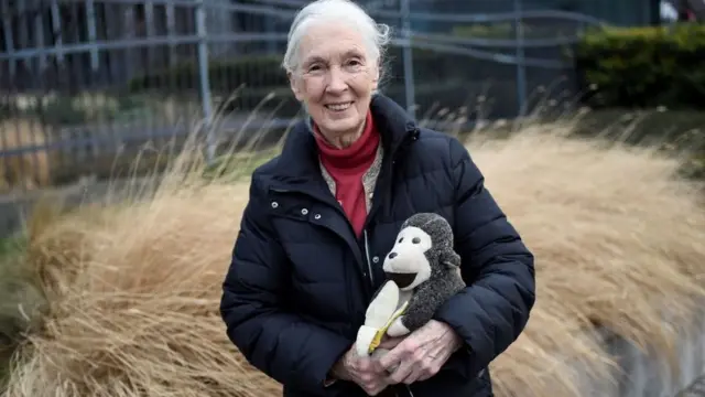 Jane Goodall com seu famoso boneconsf cbet fluid dynamics2018