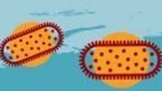 ਟੀਕਾਕਰਣ