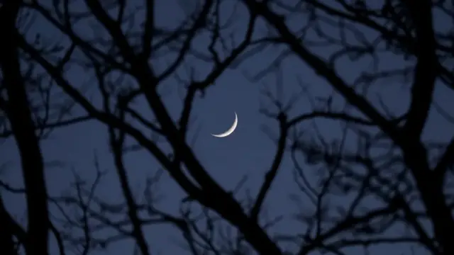 Drevni filozofi su verovali da Mesec izaziva ludilo i da je poreklo reči „duševna bolest"