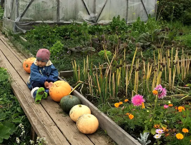 "Оттенки осени"