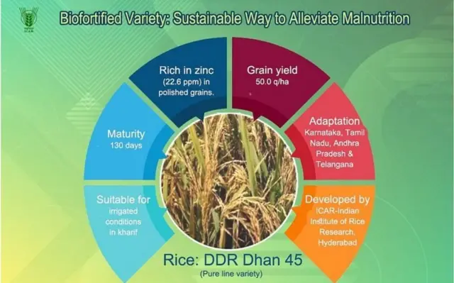 (இந்திய விவசாய ஆராய்ச்சி கவுன்சில், ஊட்டச்சத்துக்களால் செறிவூட்டப்பட்ட அசிரி வகைகளை உருவாக்க ஆராய்ச்சி செய்துவருகிறது. செறிவூட்டப்பட்ட சில அரிசி ரகங்களையும் அறிமுகப்படுத்தியுள்ளது. அவற்றில் டி.டி.ஆர். தான் 45(DDR Dhan 45), ஆந்திரா மற்றும் தெலுங்கானாவில் பயிர் செய்ய ஏற்றது என்று கவுன்சில் தெரிவிக்கிறது)