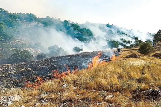 آتش سوزی در تنگ تکاب