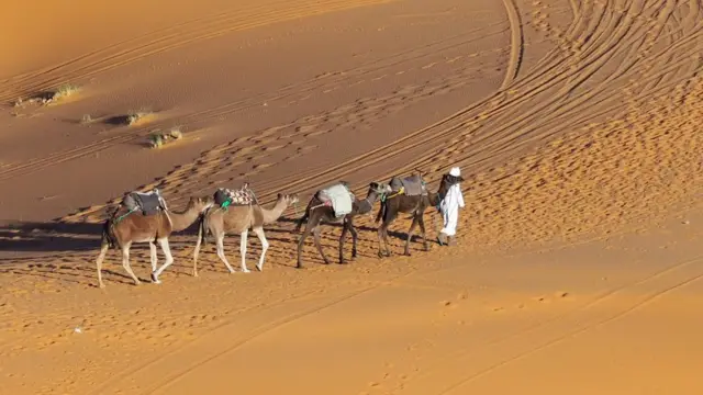 Saharada berber karvanı