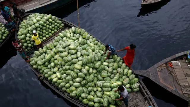 নৌকা বোঝাই করা হয়েছে বাংরাদেশের তরমুজ