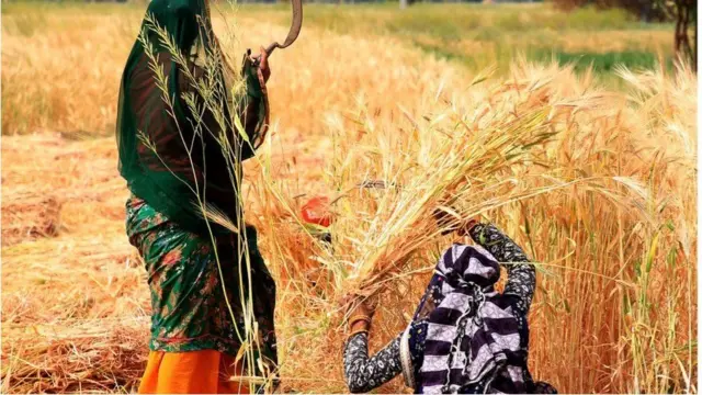 પ્રતીકાત્મક તસવીર