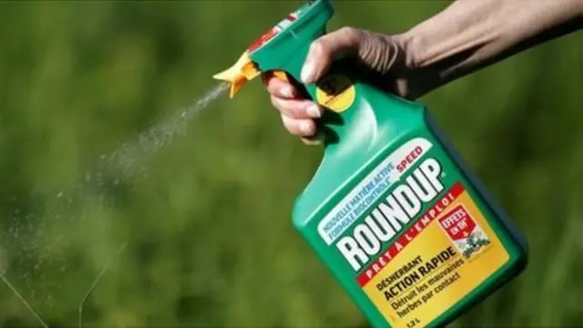 ਰਾਊਂਡ ਅੱਪ