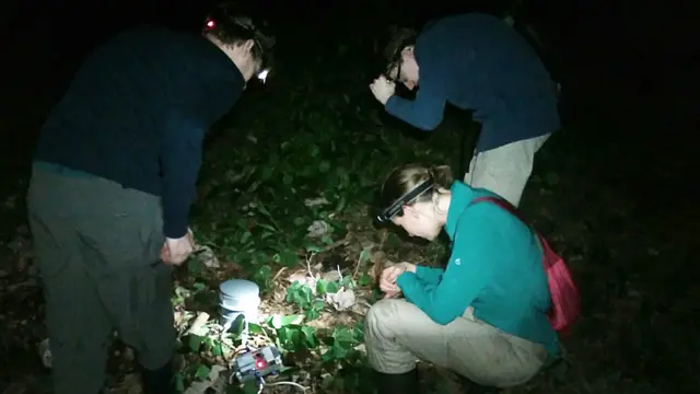 Investigadores examinando uno de los parlantes que usaron para reproducir los cantos de las ranas túngara macho