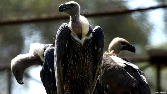 ਸੰਕੇਤਕ ਤਸਵੀਰ