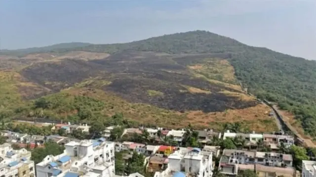 आरे कॉलनी, शिवसेना