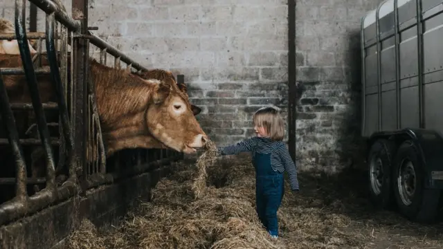 Niña en un establo con una vaca