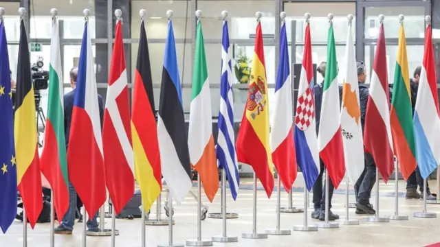 EU flags