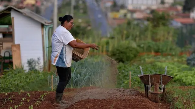 Horta urbanacaça niquel caveirinhaSete Lagoas, Minas Gerais