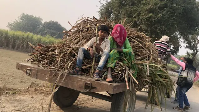'खेती तो एक सीज़न की नष्ट होगी, क़ानून तो भविष्य ही चौपट कर देगा'