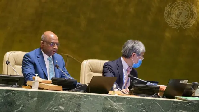 United Nations Security Council-