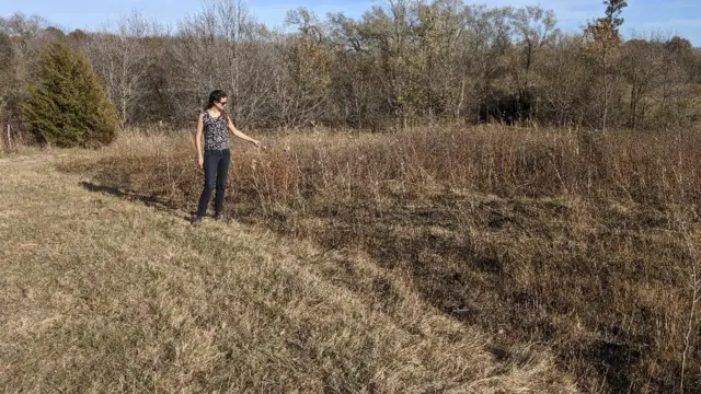 bióloga Bianca Ott Andrade em pesquisa de campo