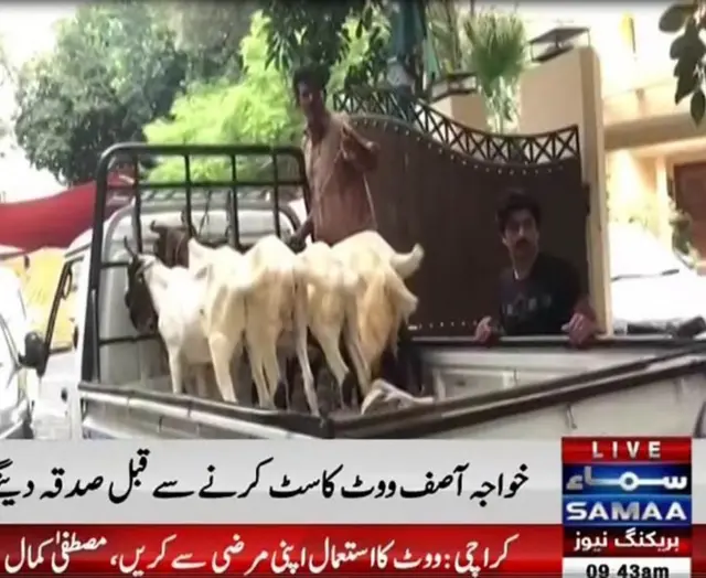 સ્કિનશોટ