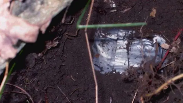 пачка грошей