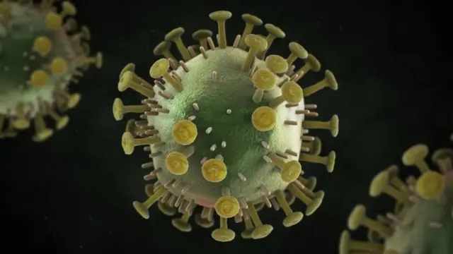 ত্বকের স্পর্শ বা মুখের লালায় এইচআইভি ছড়ায় না।