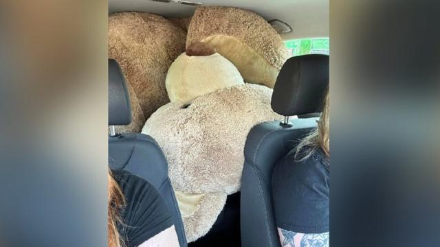 Huge teddy bear rescued from waste tip near Cambridge