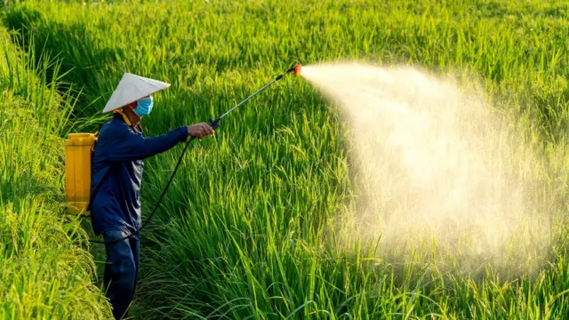 Сучасне сільське господарство зробило більшу частину нашої планети ворожим середовищем для комах