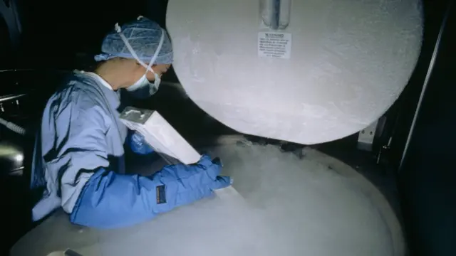 Cientista congelando válvulas cardíacas