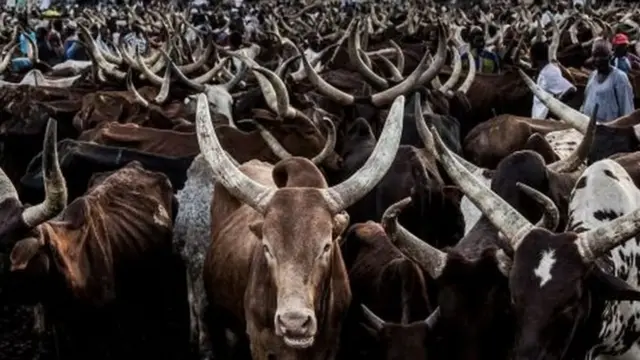 Lo'da waxaa aad u qiimeeya qabiilka Fulani ee waddanka Nigeria