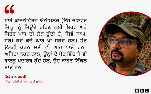 ਵਿਵੇਕ ਅਵਸਥੀ - ਜੰਗਲੀ ਜੀਵਾਂ ਦੇ ਵਿਵਹਾਰ ਦੇ ਮਾਹਿਰ