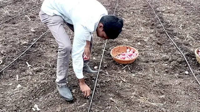 वीज, शेतकरी, महाराष्ट्र