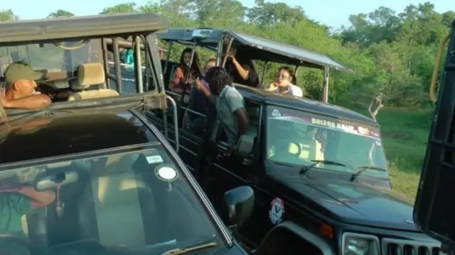 යාල සෆාරි