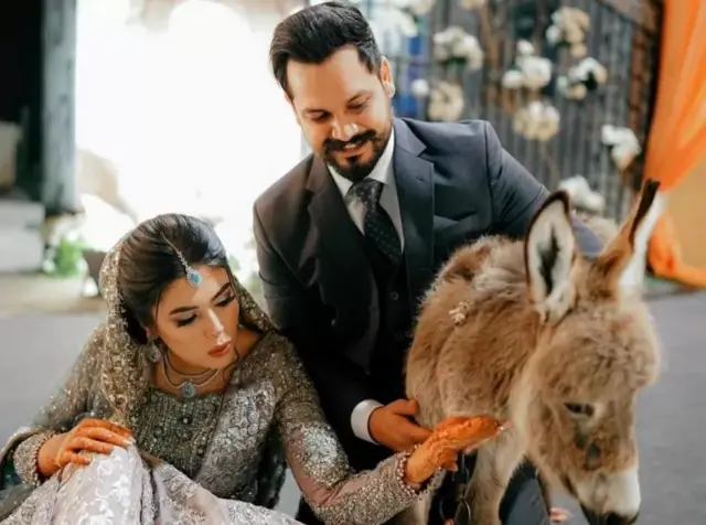 शादी पर गिफ्ट किया गधे का बच्चा