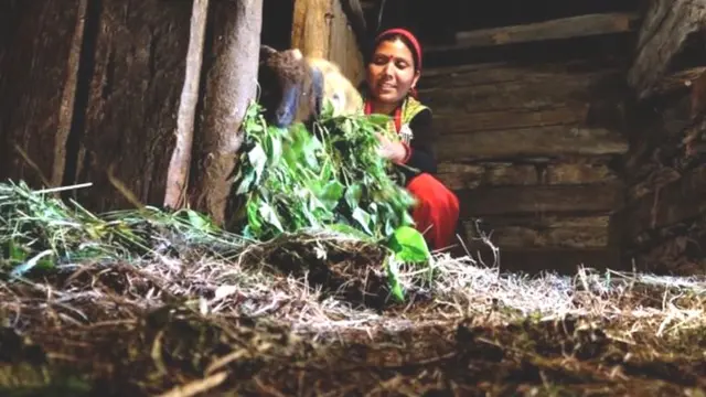 बिमला देवी