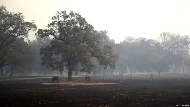 The California governor has declared an emergency. saying the wildfires "continue to threaten thousands of homes, necessitating the evacuation of thousands of residents".