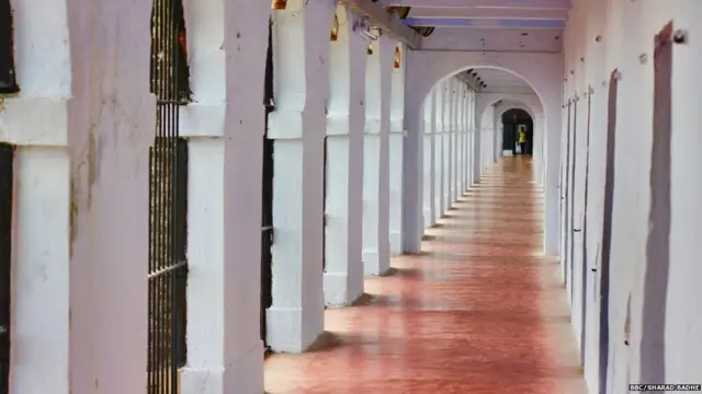 सेल्युलर जेल