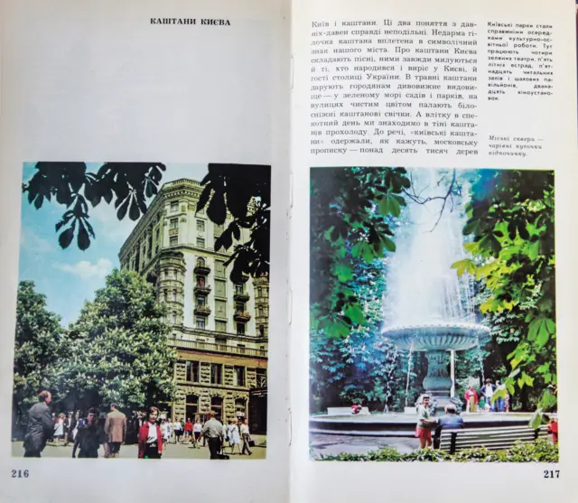 Київські каштани